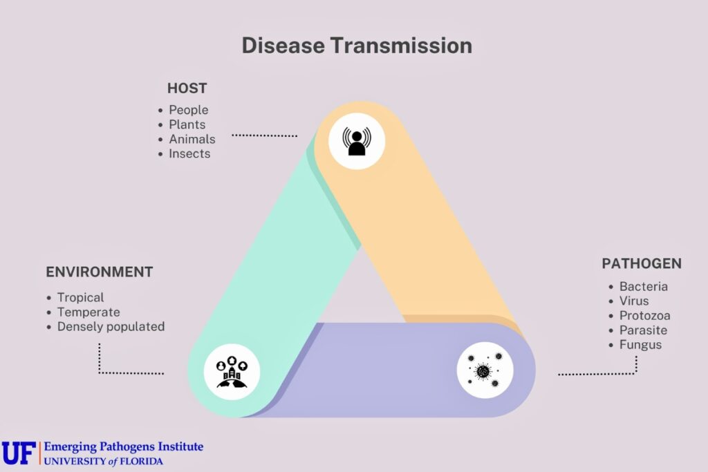 These three factors have to be considered when examining how diseases spread. Photo illustration by Sydney Burge-UF