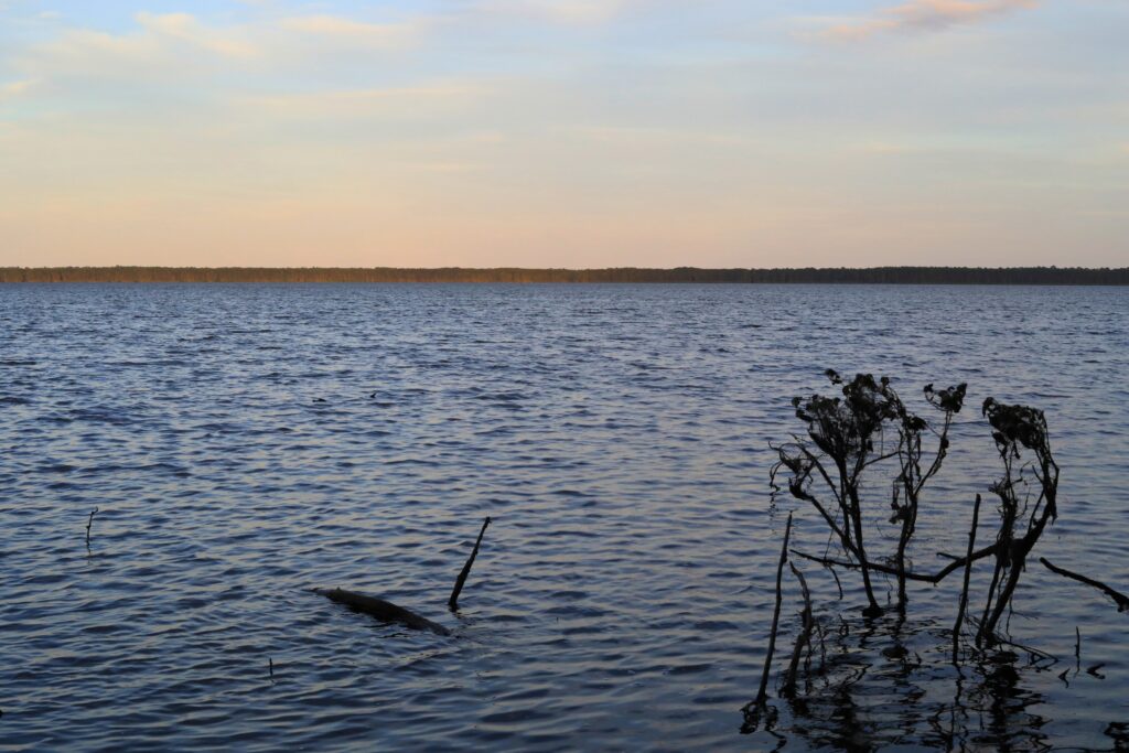 Residents say Lakeshore Drive deserves environmental protections along with Newnans Lake.
