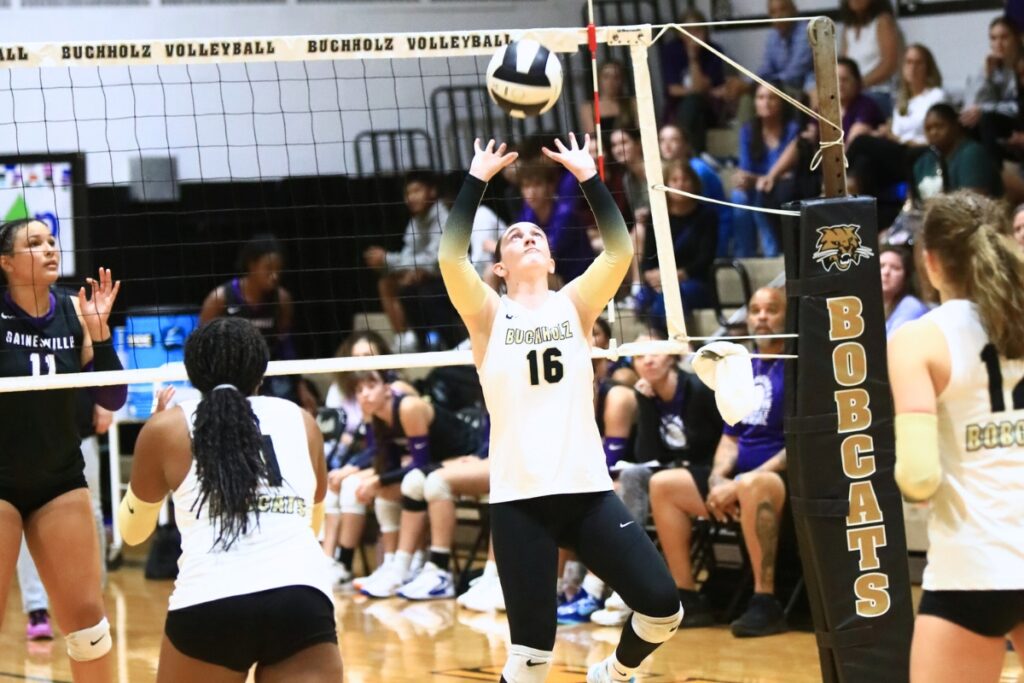 Buchholz's Kara Gibson (16) with a set against Gainesville. Photo by C.J. Gish