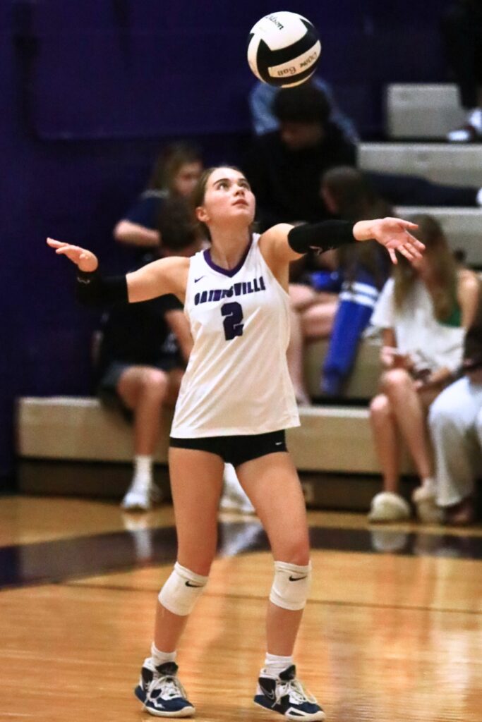 Gainesville's Addyson Hauptman (2) with a serve against Forest (Ocala). Photo by C.J. Gish