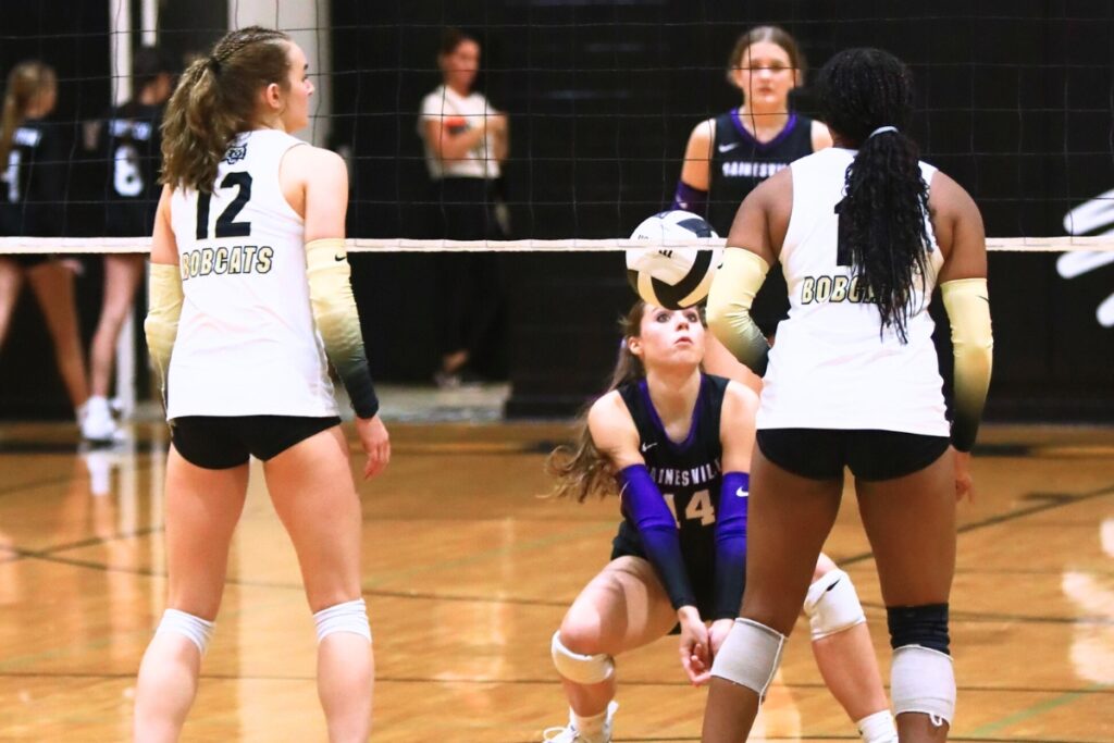 Gainesville's Whitney Kinsell (14) with a dig against Buchholz. Photo by C.J. Gish