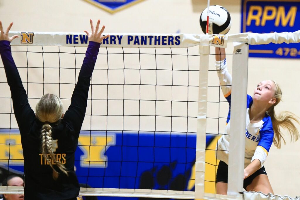 Newberry's Meadow Moses with a hit against Union County. Photo by C.J. Gish