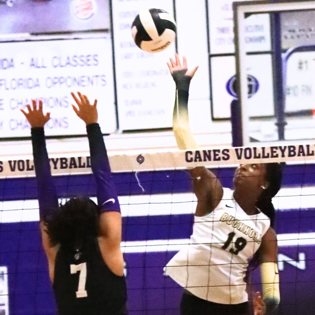 Buchholz's Aaliyah Ray (19) with a hit against Gainesville's Jordyn Barnard (7). Photo by C.J. Gish