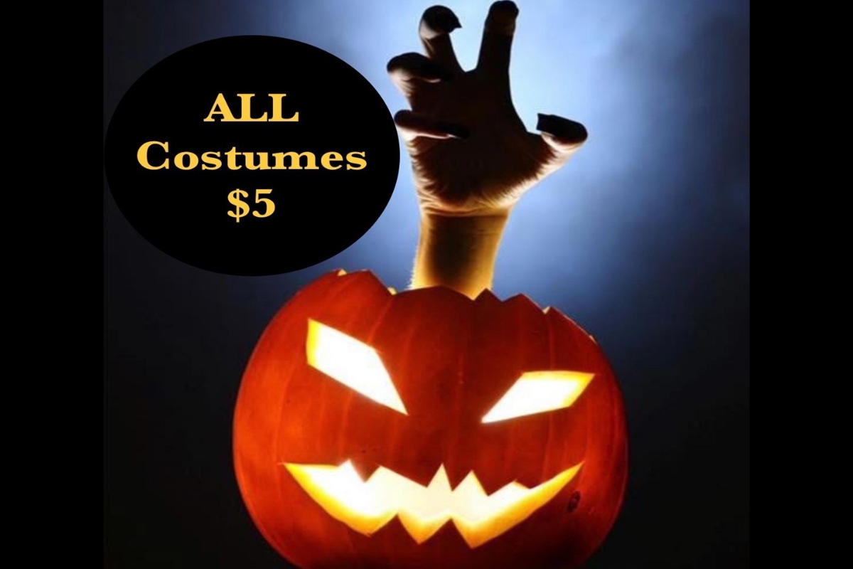 Dance Alive National Ballet Halloween Costume Sale Gainesville