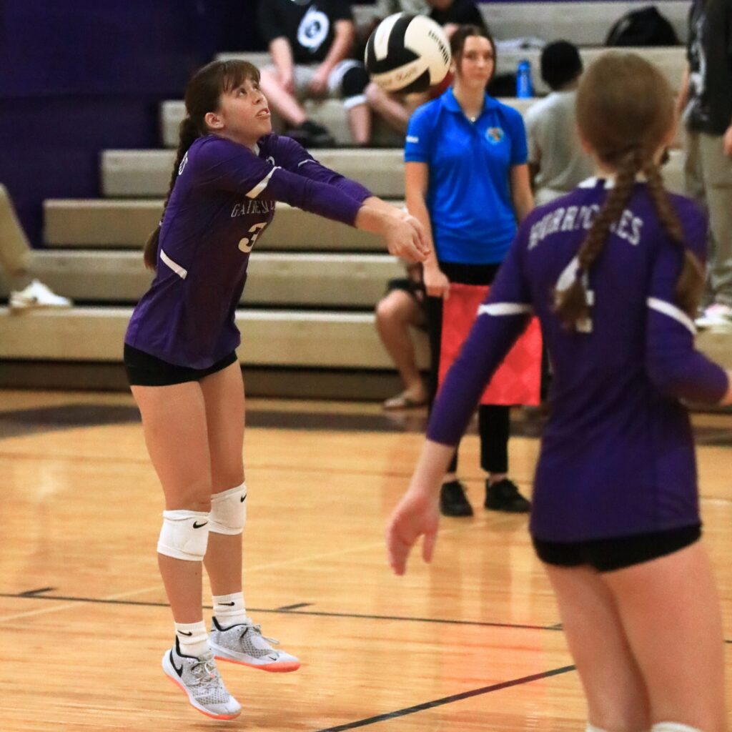 Gainesville's Karly Walser (3) with a dig against Belleview in the Class 5A-District 5 semifinals. Photo by C.J. Gish