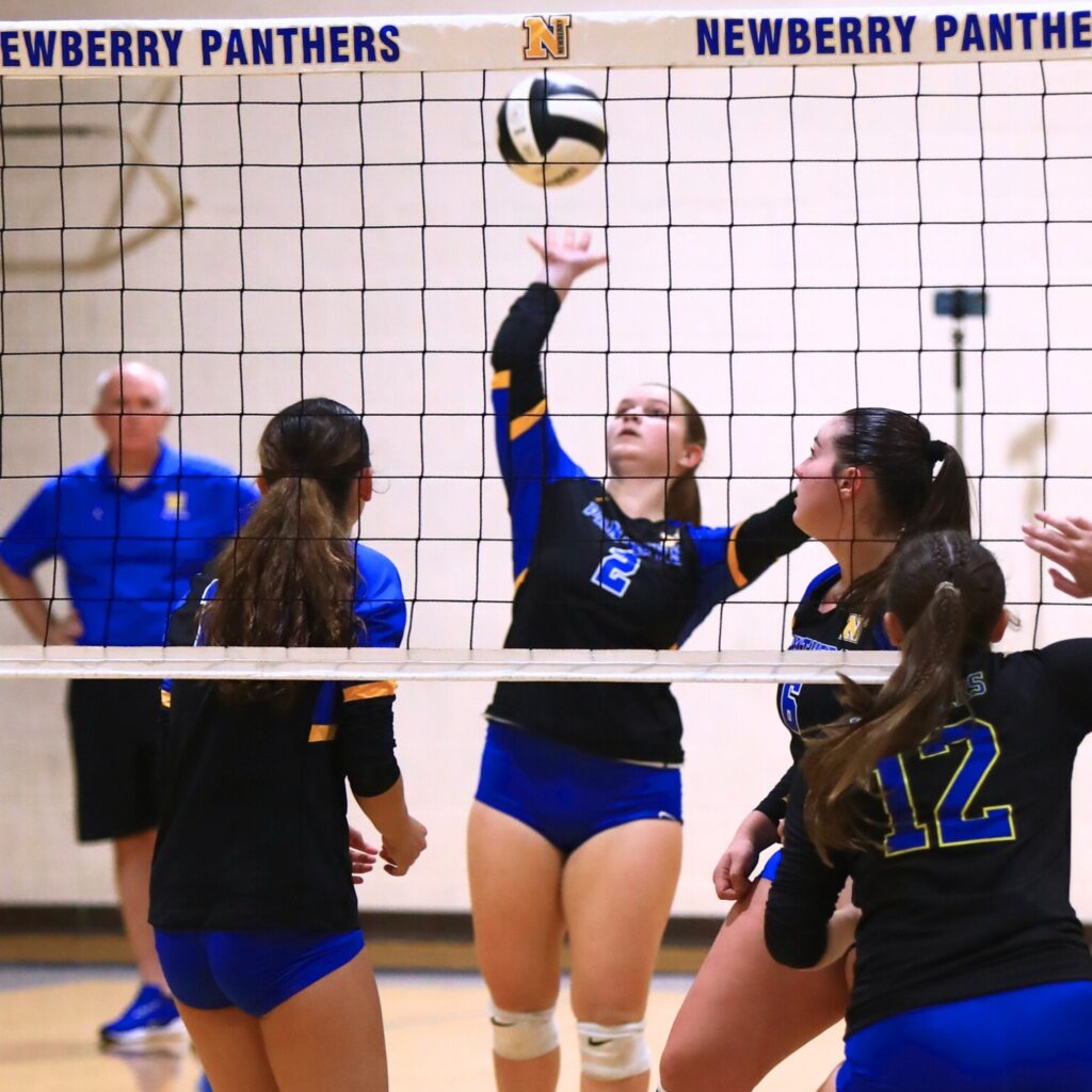 Newberry's Abi Clanton (2) with a hit against Palatka in the Class 3A-District 5 semifinals. Photo by C.J. Gish