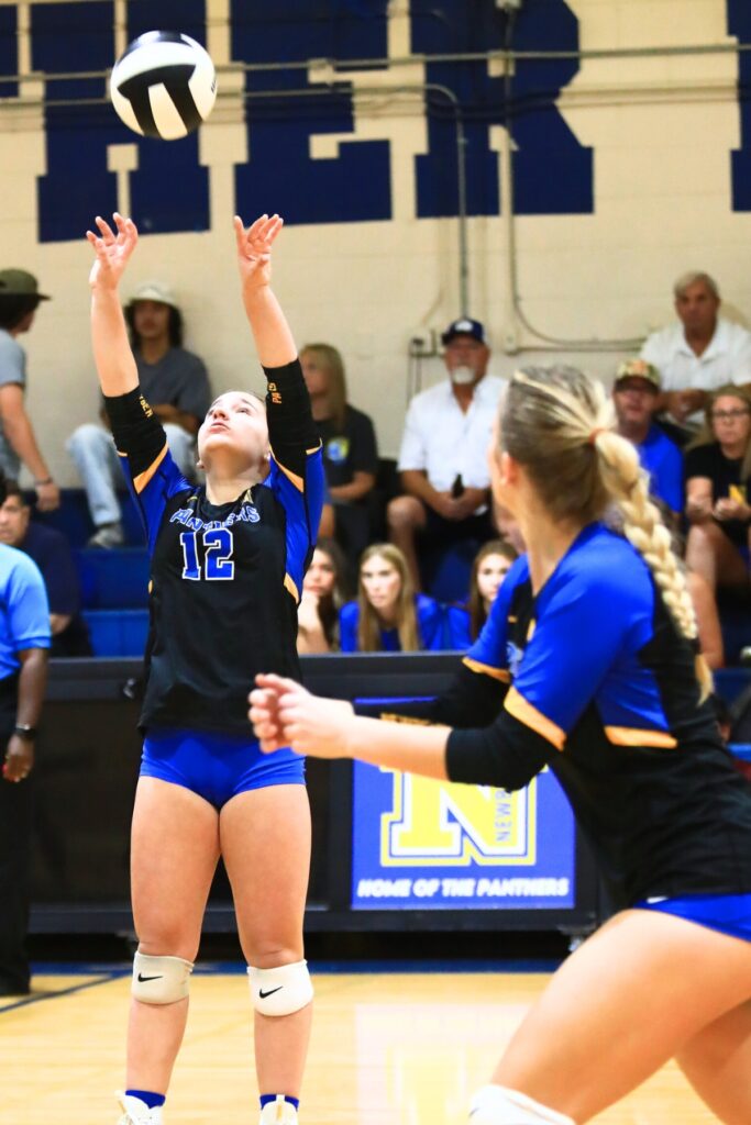 Newberry's Elizabeth Fowler (12) with a set against Palatka in the Class 3A-District 5 semifinals. Photo by C.J. Gish