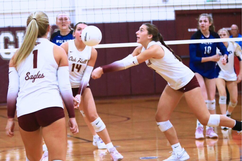 Oak Hall's Nicolette Aulisio (10) goes for a dig against Saint Francis Catholic. Photo by C.J. Gish