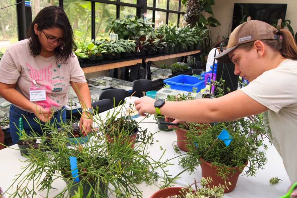 A new study from University of Florida researchers found that their therapeutic horticulture program not only helped reduce students’ overall stress – it also increased their academic resilience.