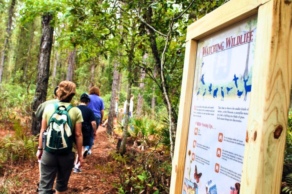 Alachua County residents are invited to celebrate 25 years of the Alachua County Forever program on Friday with a guided hike through Lake Alto Preserve – North. Courtesy of Alachua County