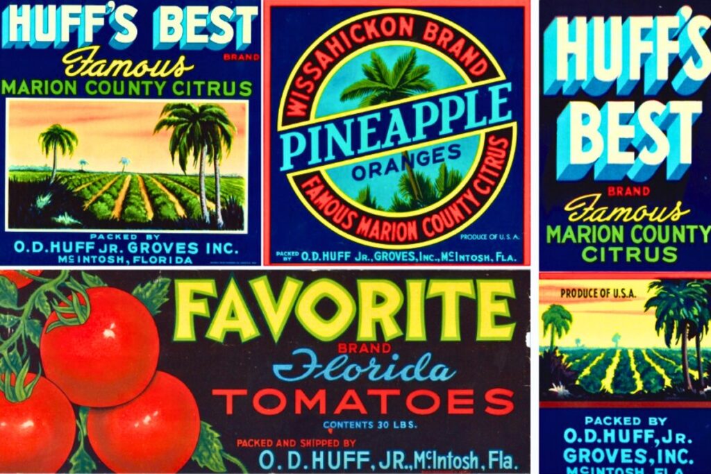 Assorted vintage produce labels from O.D. Huff Jr. Grove, Inc. Courtesy of Alachua Conservation Trust (1)