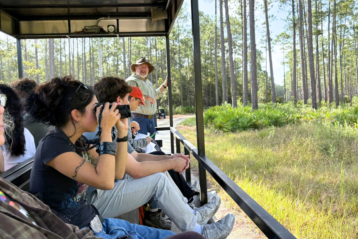 Into the Woods: UF art students find inspiration in Austin Cary Forest