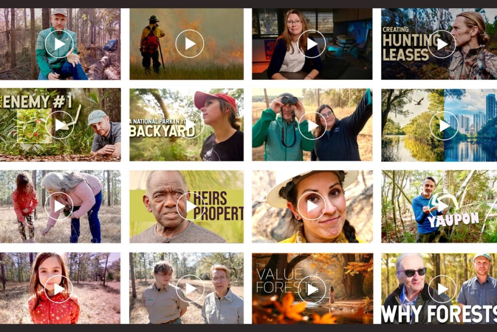 A University of Florida video series will feature 16 videos aimed at helping to keep Florida forest landowners in the know. Courtesy of Suzette Cook - UF-IFAS