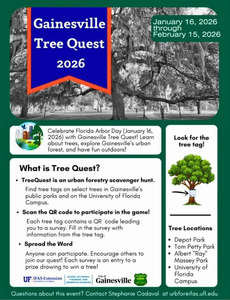 Gainesville Tree Quest 2026 flyer