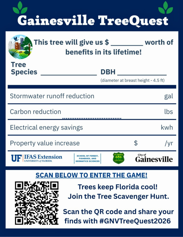 Tree Quest 2026 scavenger hunt to kick off on Arbor Day