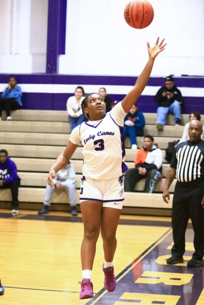 Gainesville's Mikinzie Hargon (3) atempts to save the ball against Chiles (Tallahassee) in the Class 5A-District 2 Semifinals. Photo by C.J. Gish