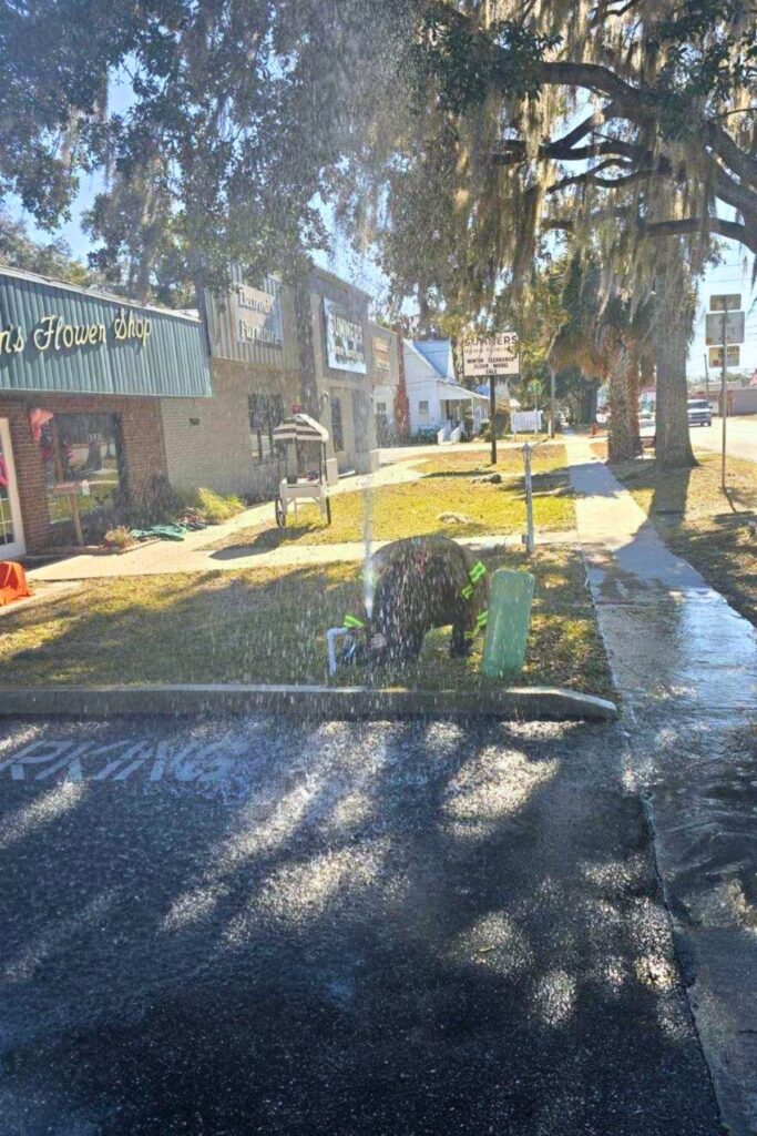 High Springs public works crews and firefighters responded to a handful of burst pipes over the weekend during Florida's historic cold snap. Courtesy of High Springs Fire Department