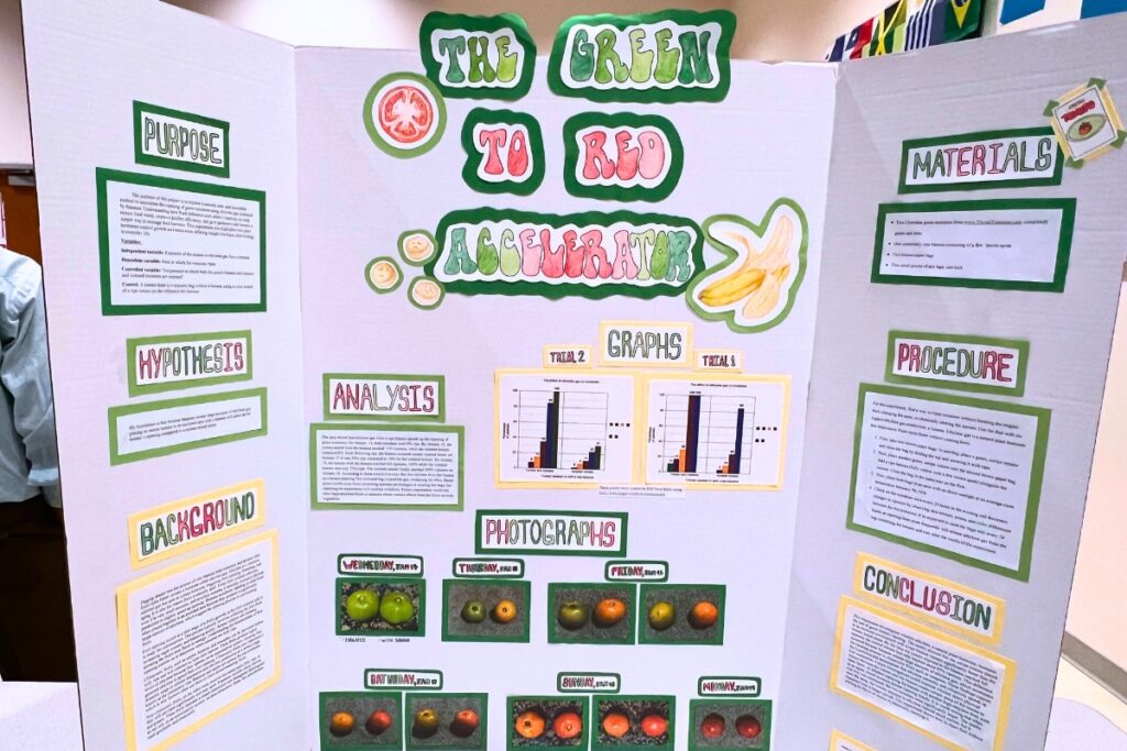 One of the projects that was presented at the regional science and engineering fair. Photo by Nick Anschultz