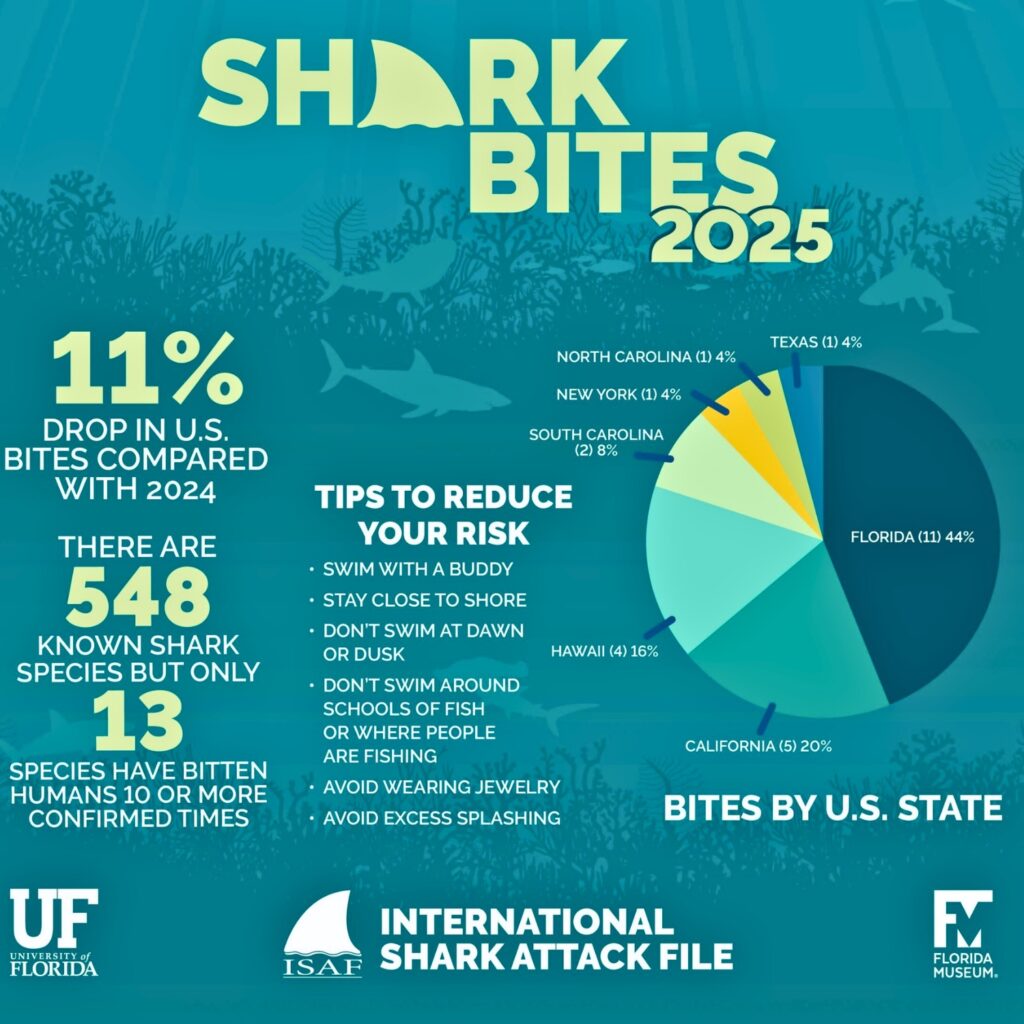 Shark bites by state in U.S. in 2025.