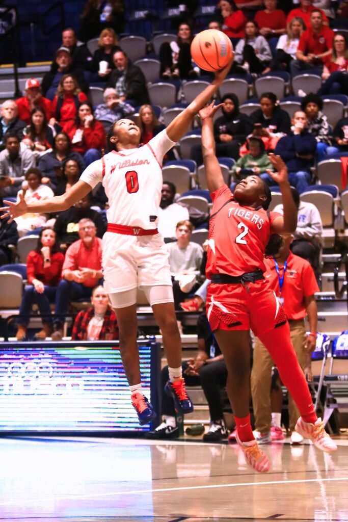 Williston's Ashlyn Young (0) goes for the ball against Blountstown in the Rural state semifinals. Photo by C.J. Gish