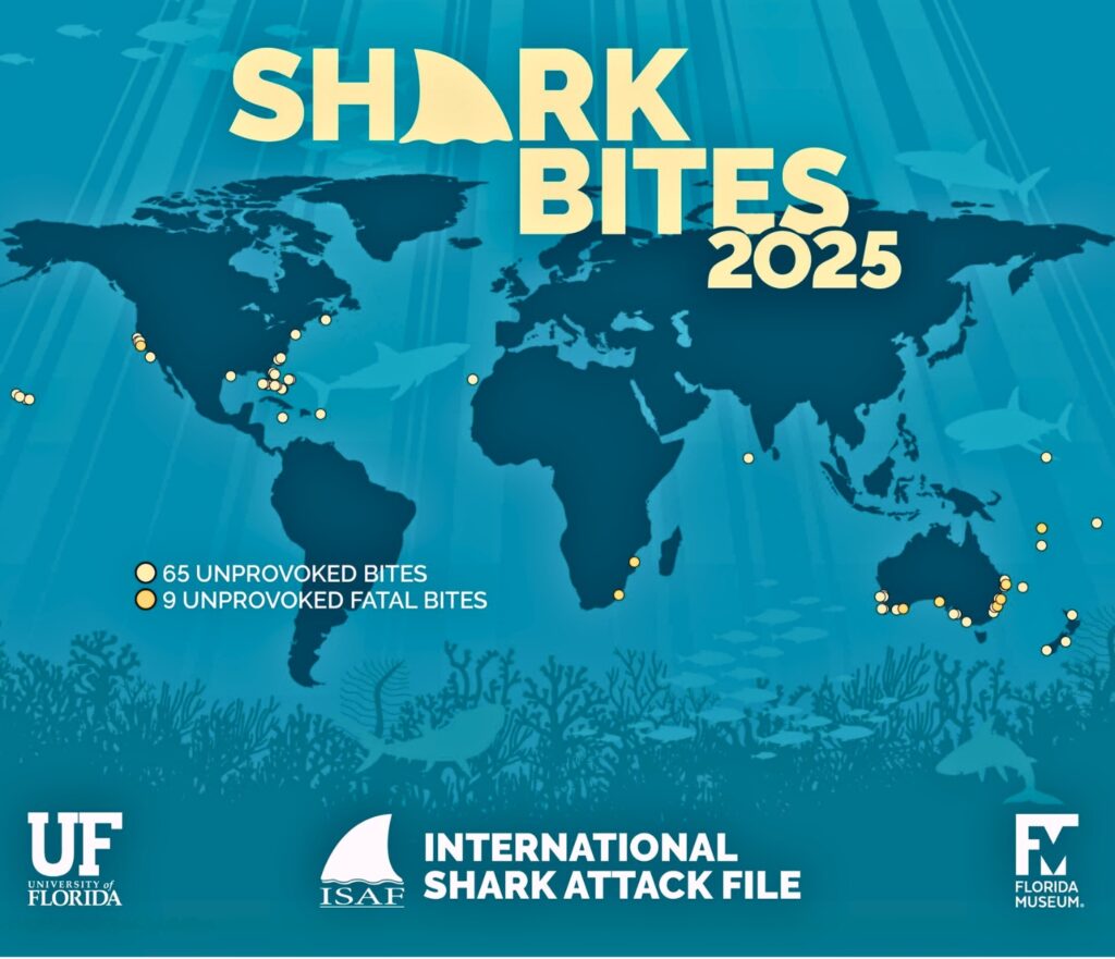 Worldwide unprovoked shark bites map for 2025.