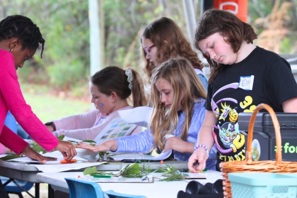 Girls Scouts learned about identifying trees and made art with leaves. Photo by Suzette Cook - UF/IFAS