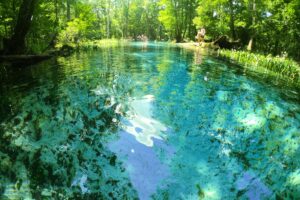 Floridan aquifer levels hit lowest since 2011 with little March rain