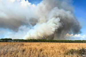 Multiple units continue mop-up operations on 750-acre brush fire in Dixie County