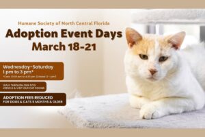 Humane Society’s Adoption Event Days slated for March 18-21