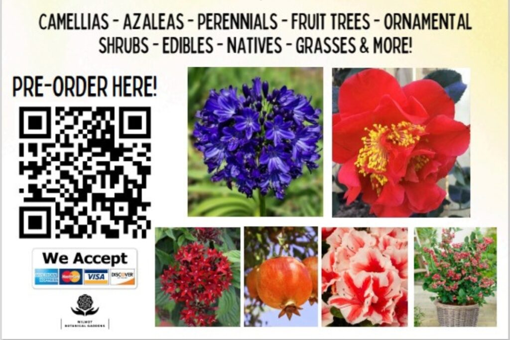 Wilmot Botanical Gardens opened its Spring Plant Sale pre-order event that will run through April 8 ahead of its Spring Plant Sale. Courtesy of Wilmot Botanical Garden