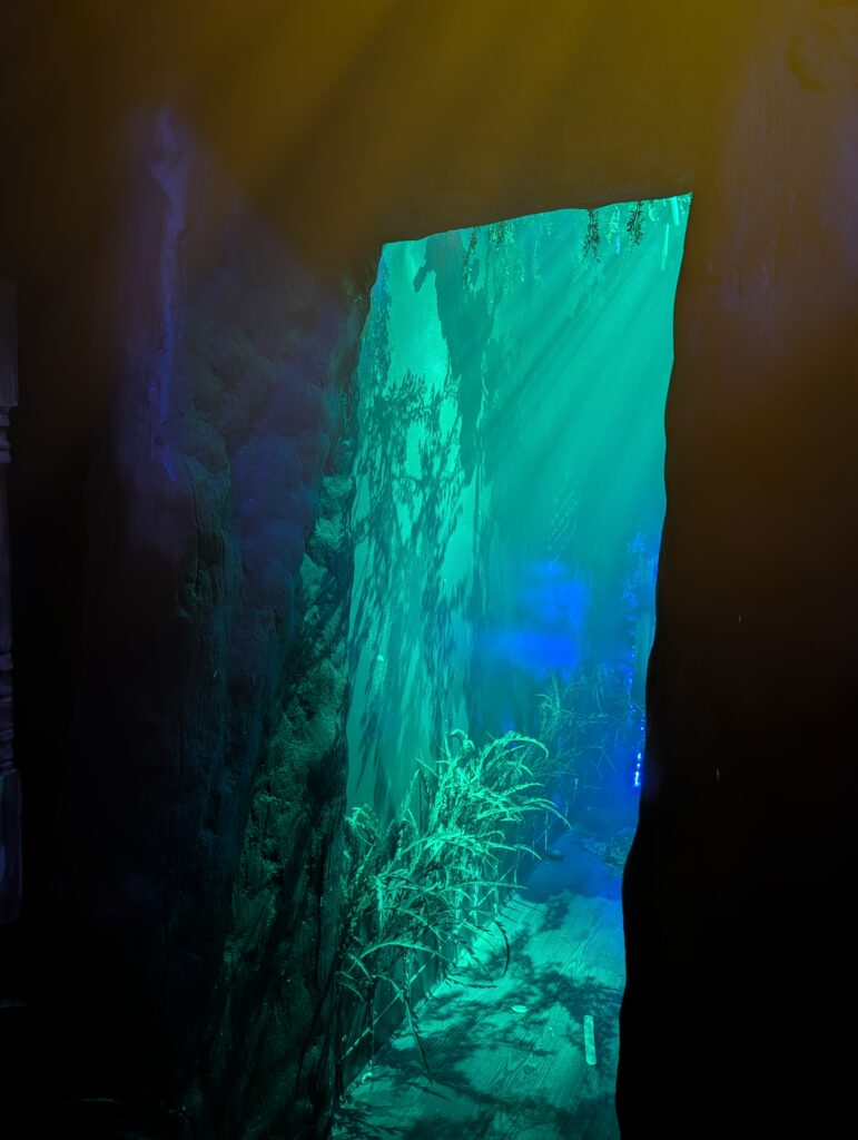 Entrance into a glowing dark forest inside a medieval escape room at Huddy’s Escape in Gainesville, Florida