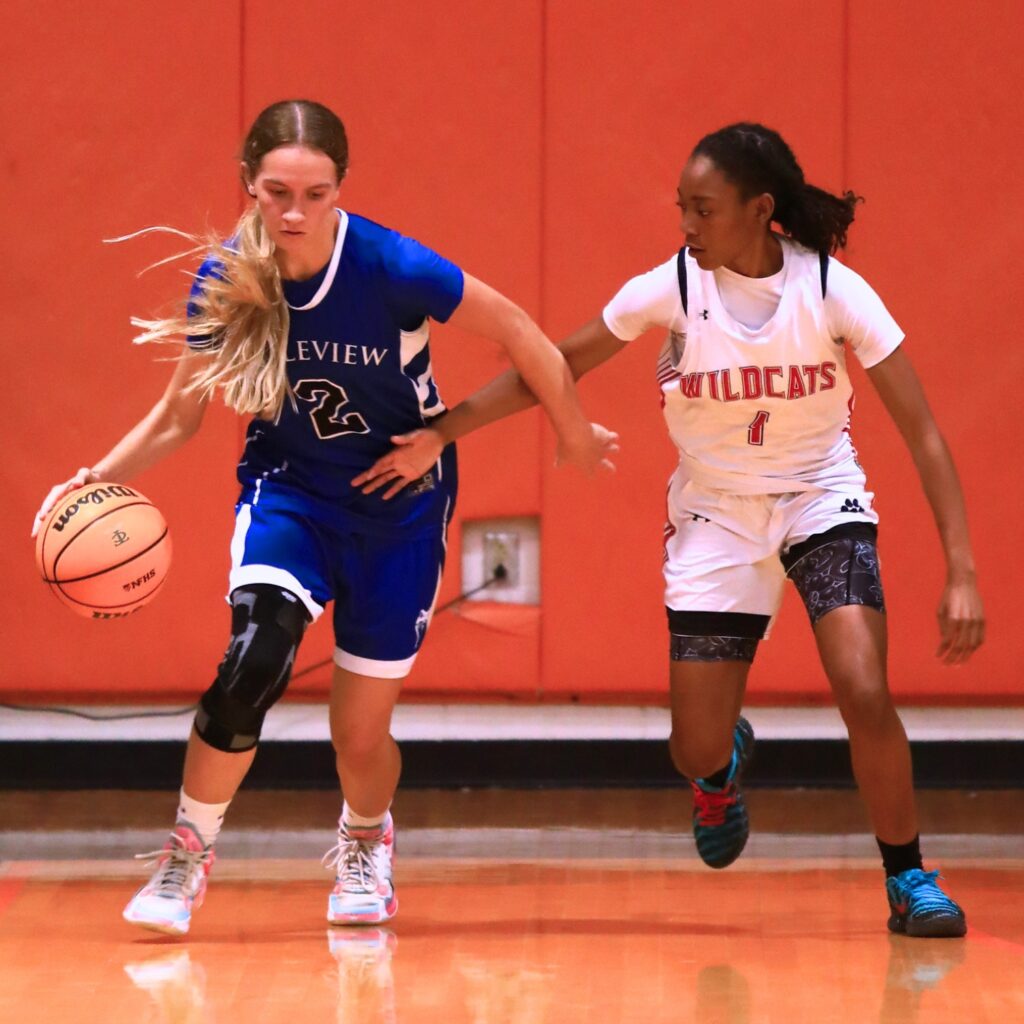 Belleview's Cami Satterfield (2) ties to dribble around Baker County's Yamise Haygood (1) at The Prep Zone All-Star Showcase on Saturday. Photo by C.J. Gish