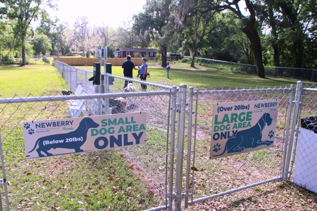 Central Bark offers play areas for dogs of all sizes. Photo by Lillian Hamman