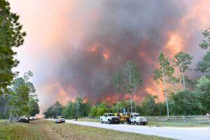 Multiple wildfires continue to burn in Alachua, Levy, Bradford and Clay counties