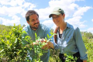 Blueberries bloom for picking at River & Root Farm as part of new owners’ love story