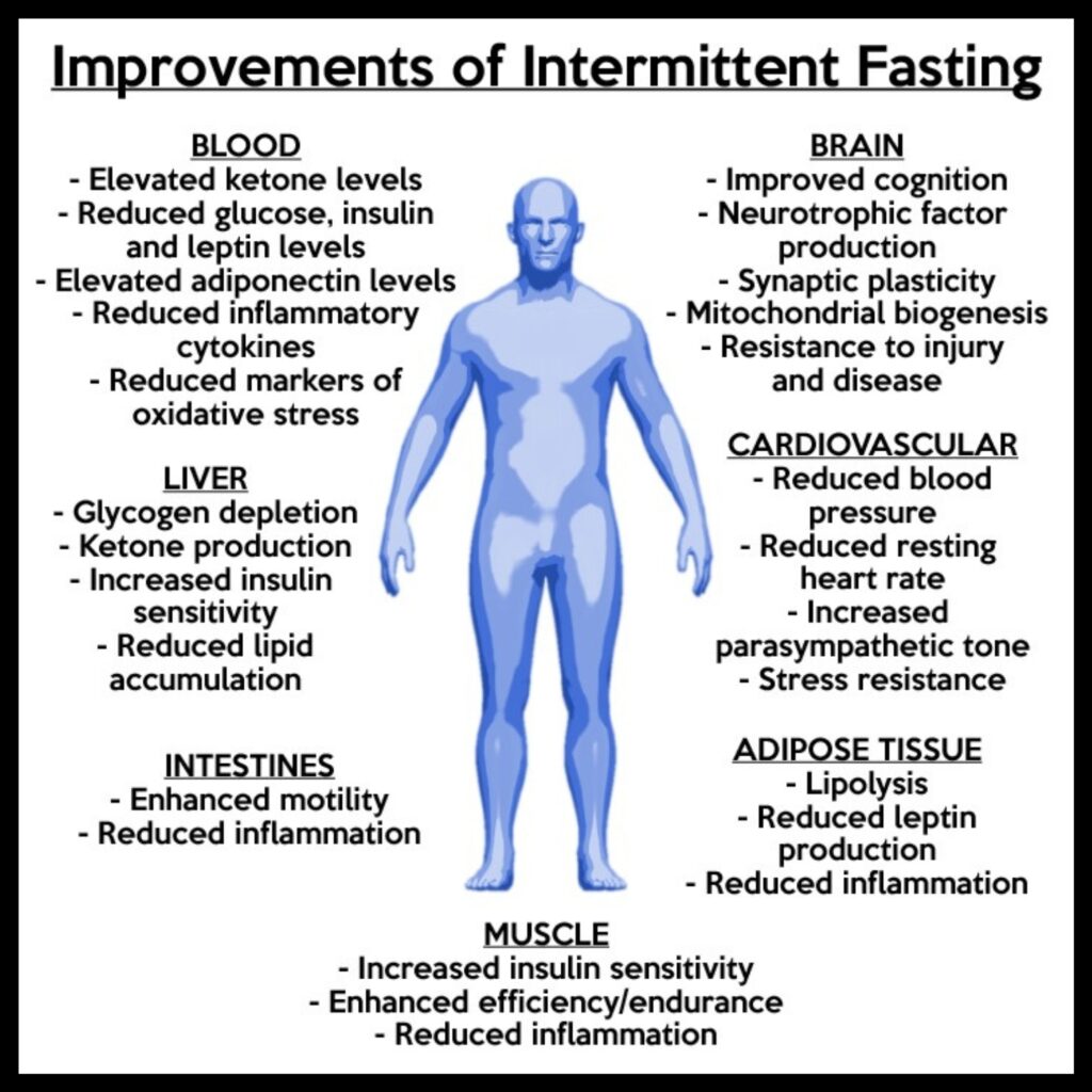 Improvements of intermittent fasting graphic. Courtesy of Dr. Stephen Anton