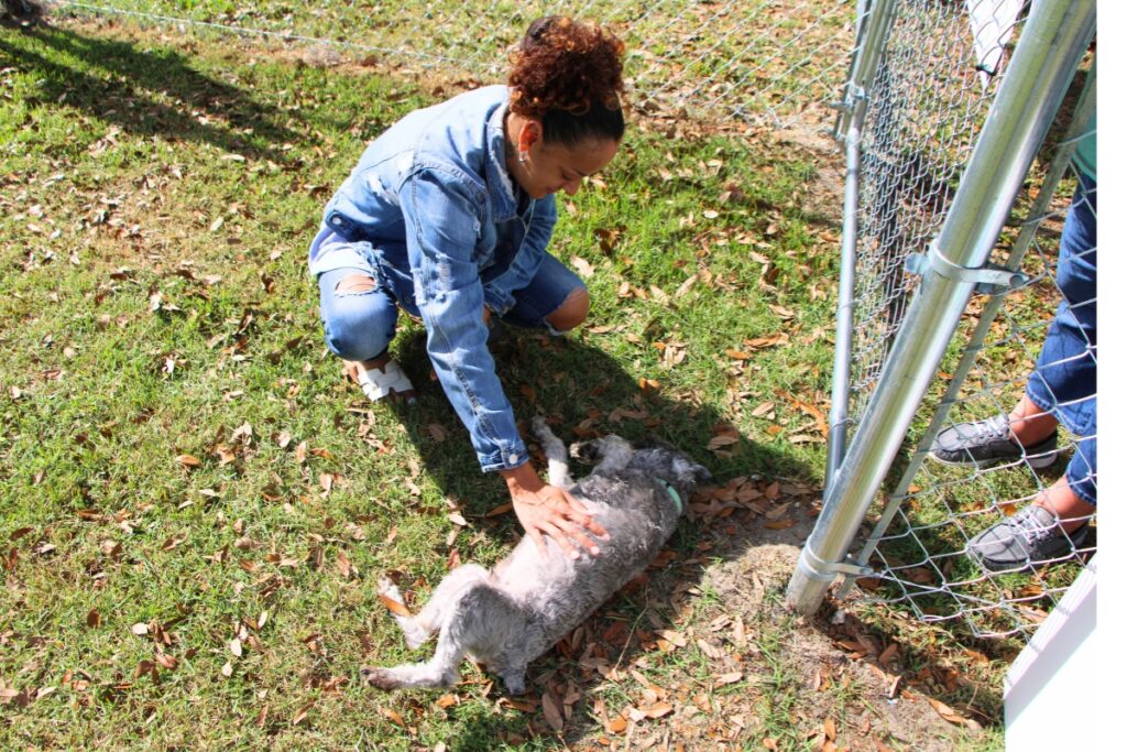 Newberry Community Engagement Coordinator Crystal Rushing plays with her schnauzer, Swayze, at the new Central Bark. Photo by Lillian Hamman