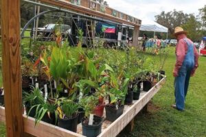 Dudley Farm Spring Heritage Plant Sale slated for Saturday