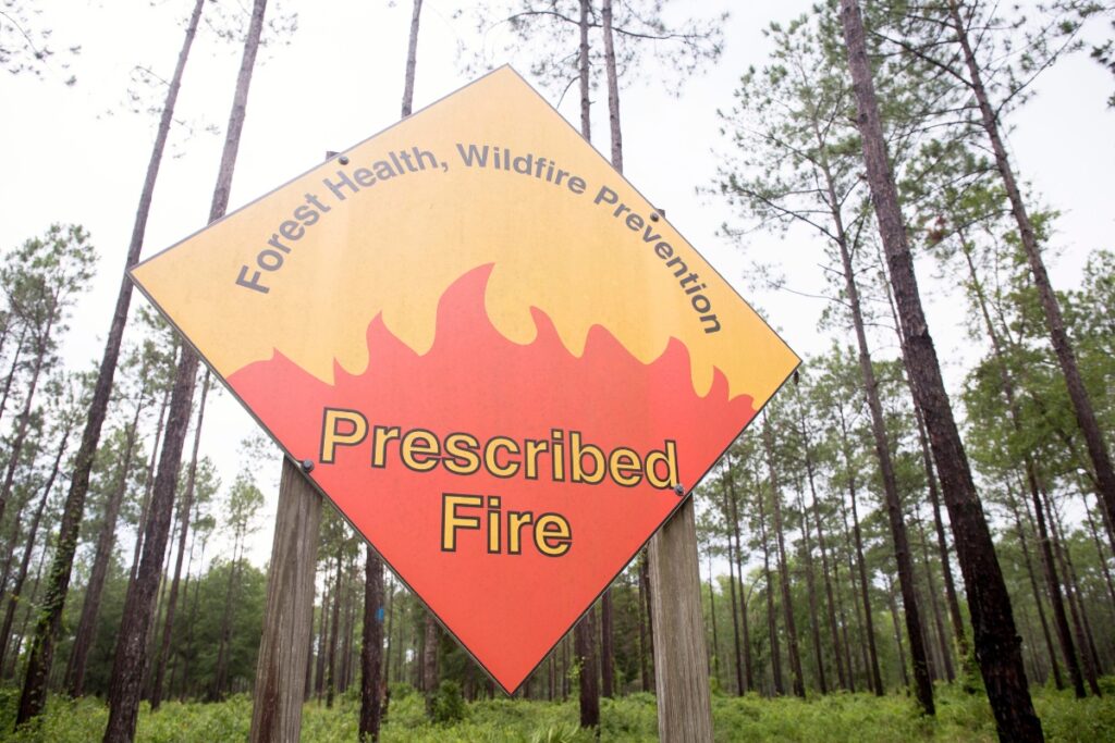 A Forest Health, Wildlife Prevention Prescribed Fire sign is posted in front of a forest. Photo by Camila Guillen - UF-IFAS