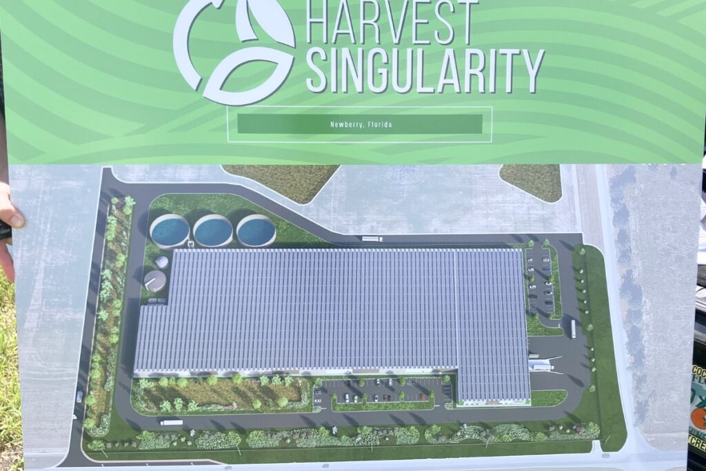 Each greenhouse will produce around three tons of leafy greens every day. 