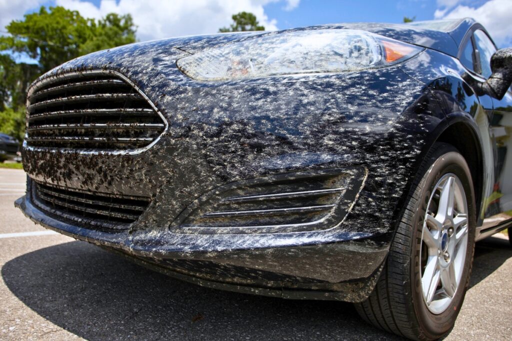 Lovebugs splattered on the grill of a car. Photo by Tyler Jones - UF-IFAS Communications