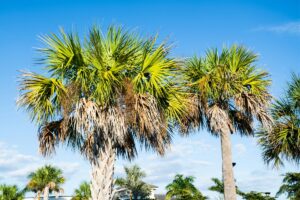 Groundwater around Alachua County falls to 10th percentile amid drought