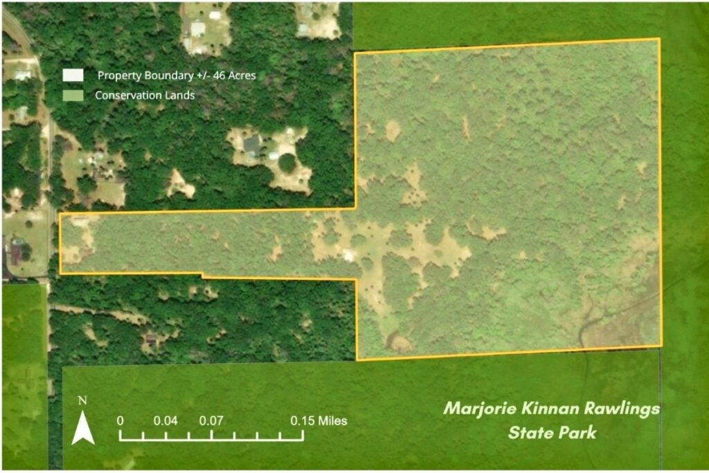 The Alachua Conservation Trust acquired 46 acres in April in Cross Creek. Courtesy of ACT