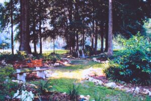 Alachua County and IMPACT GNV to host Survivors of Gun Violence Memorial