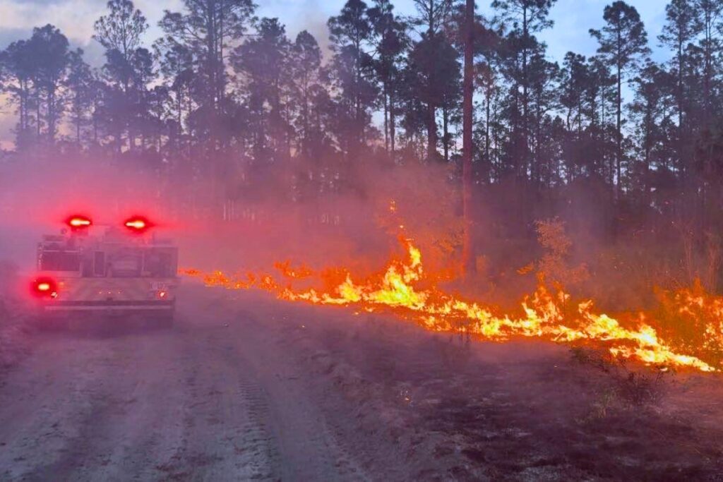 The Lochloosa West Fire east of Micanopy has now burned 956 acres and is 50% contained as of Wednesday afternoon. Courtesy of Florida Forest Service