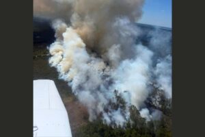 Lochloosa West Fire grows to 228 acres, 30% contained