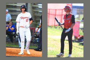 Ridaught: Final four at stake for area baseball teams