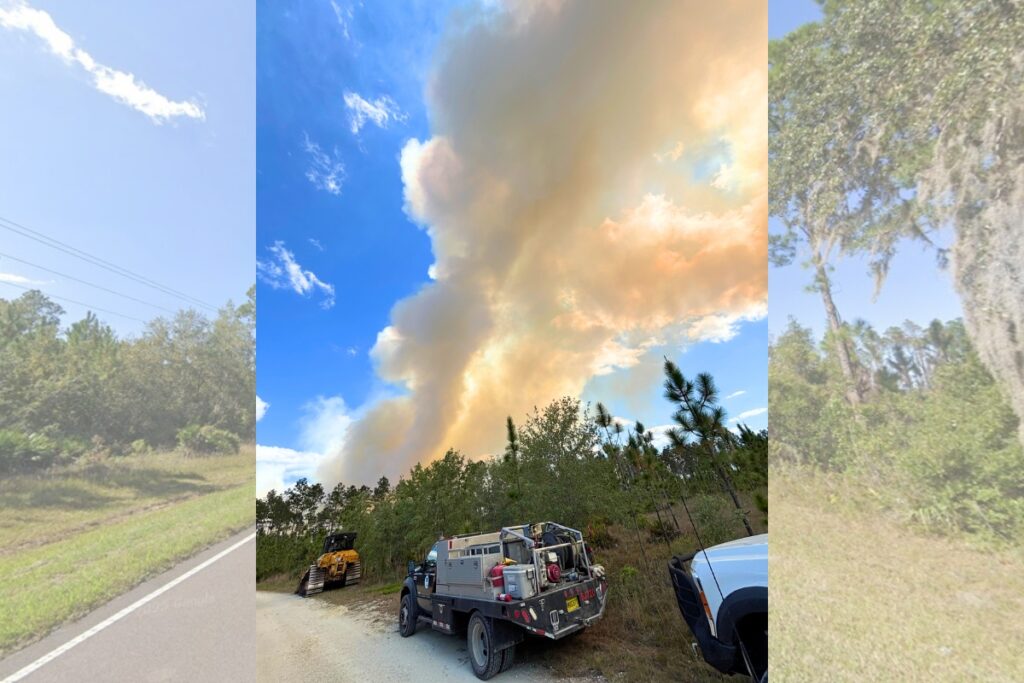 Smoke rises above trees at the Cross Creek fire.