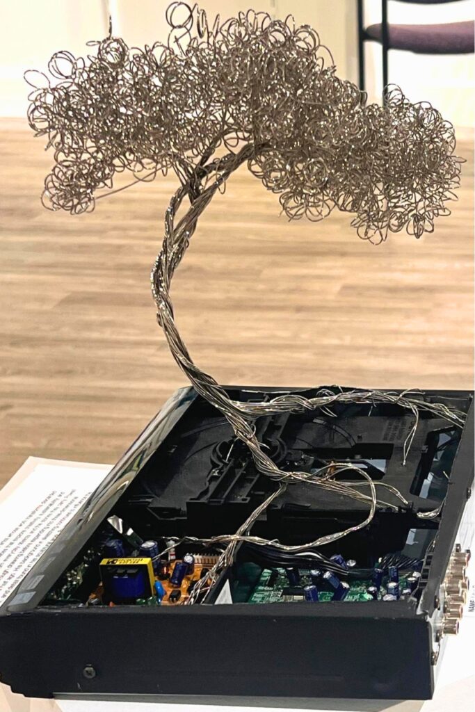 Levi Powell's DVD Tree. Courtesy of Lâle Gerger