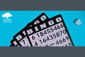 Swamp Head Brewery Bingo fundraiser on tap for Tuesday